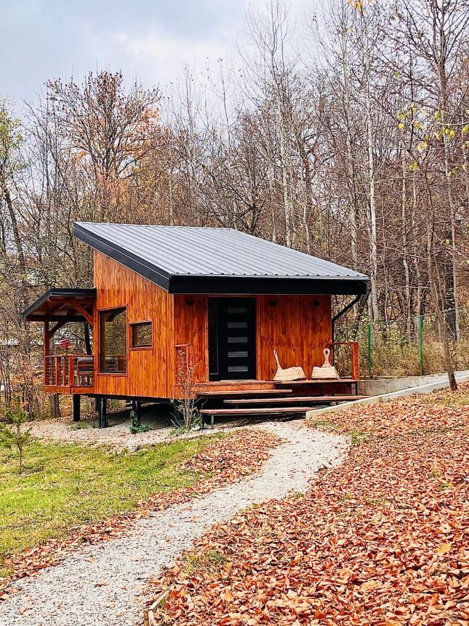 Moodysun Studio, Remote Tiny Home Comarnic Dış mekan fotoğraf