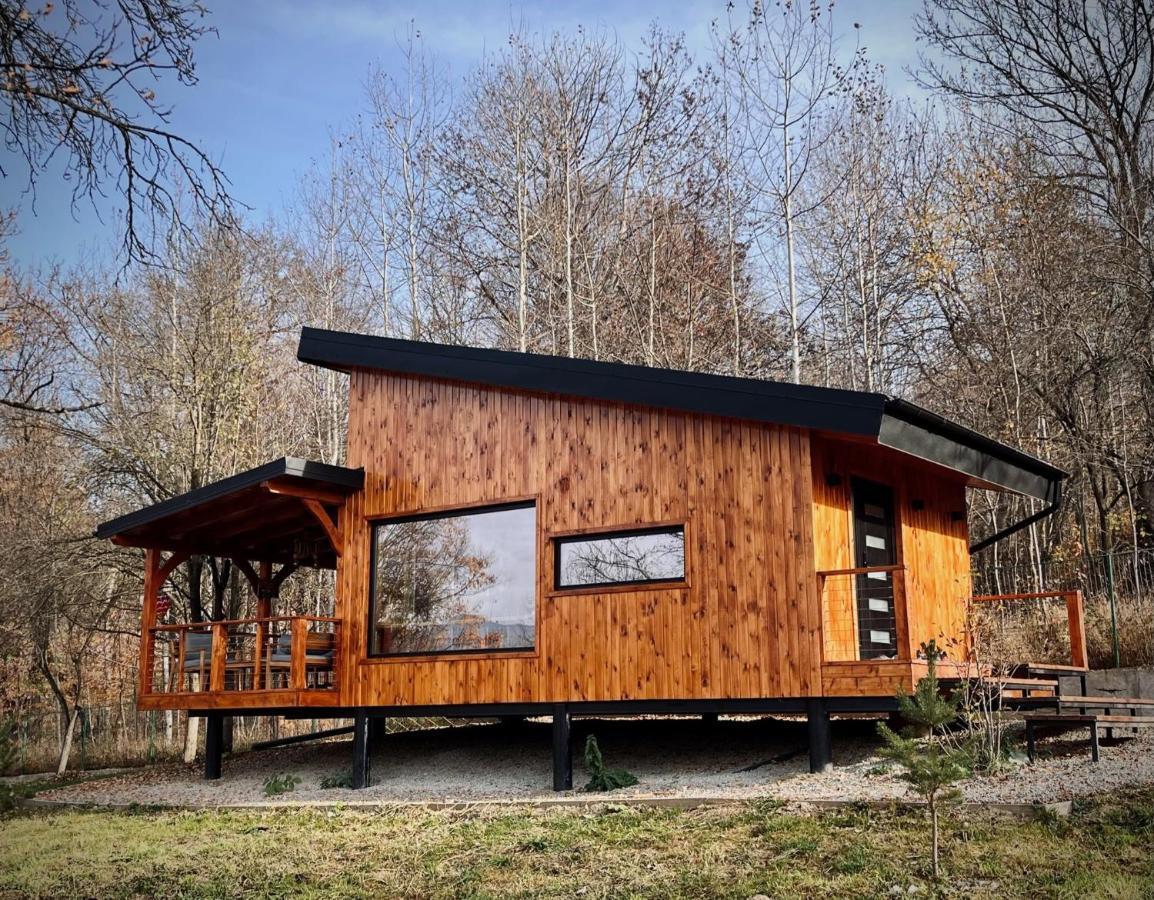 Moodysun Studio, Remote Tiny Home Comarnic Dış mekan fotoğraf