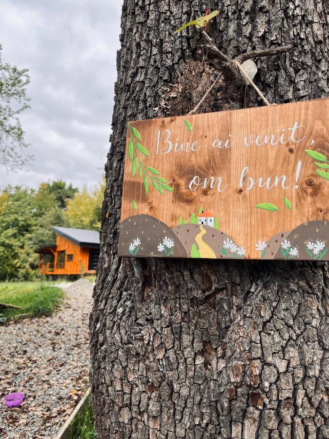 Moodysun Studio, Remote Tiny Home Comarnic Dış mekan fotoğraf