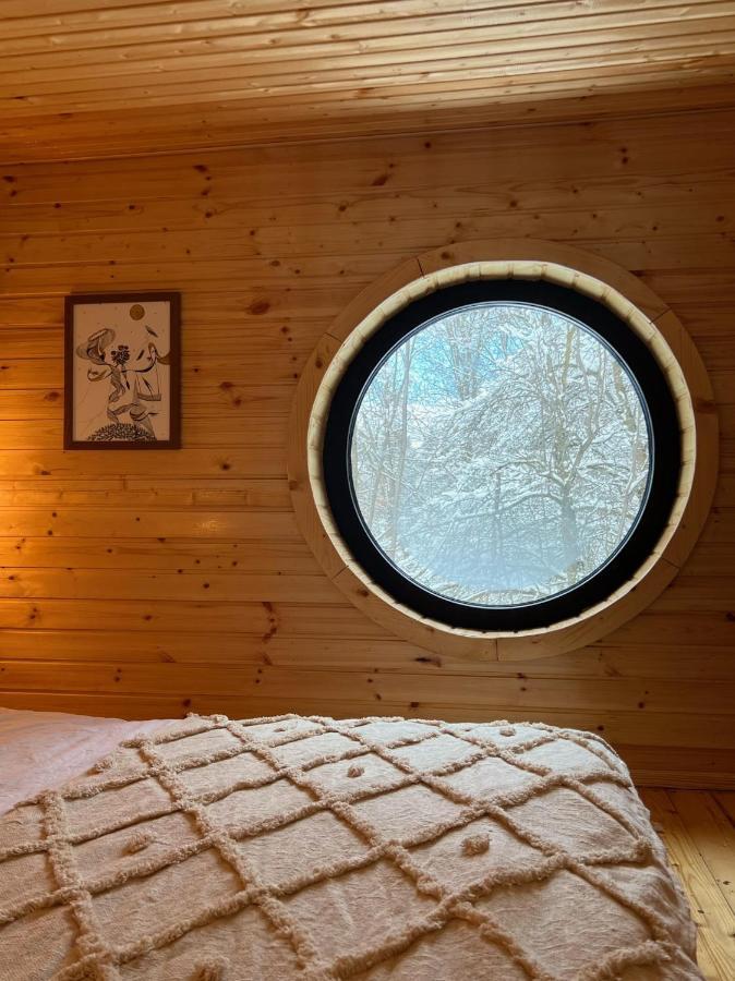 Moodysun Studio, Remote Tiny Home Comarnic Dış mekan fotoğraf