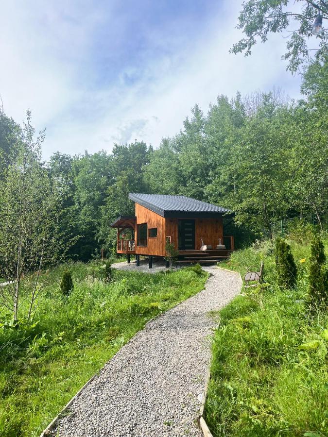 Moodysun Studio, Remote Tiny Home Comarnic Dış mekan fotoğraf